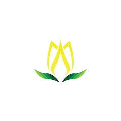 Wall Mural - Vector illustration icon of beautiful tulips with white background