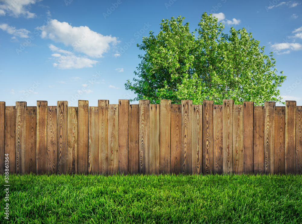 tree in garden and wooden backyard fence with grass - obrazy, fototapety, plakaty 