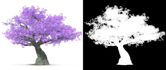 Wall Mural - purple lilac blossom tree isolated with alpha mask for easy isolation 3d illustration