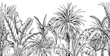 Seamless border with black and white tropical plants.
