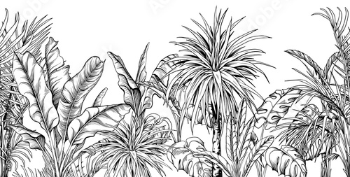Fotografía Seamless border with black and white tropical plants.