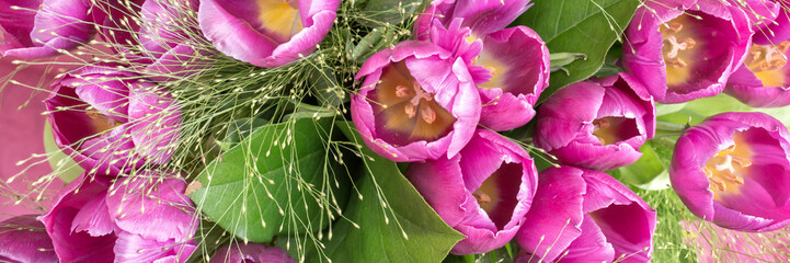 Wall Mural - close up of a pink tulips bunch seen from above