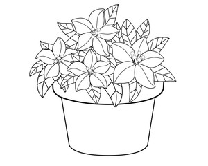 Flowerpot with flowers. Vector linear drawing for coloring. Beautiful, lush flowers and leaves in a flower pot pattern for children or adult coloring. Outline. Gardening and botanical illustration