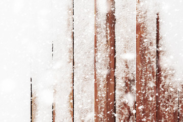 Canvas Print - snow