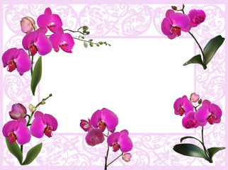 Wall Mural - purple orchids in pink decorated frame