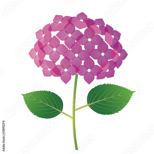 紫陽花 あじさい 花 イラスト Buy This Stock Vector And Explore Similar Vectors At Adobe Stock Adobe Stock 紫陽花 あじさい 花 イラスト Buy This Stock Vector And Explore Similar Vectors At Adobe Stock Adobe Stock