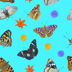 Sticker - Butterflis and wildflowers. Seamless pattern.