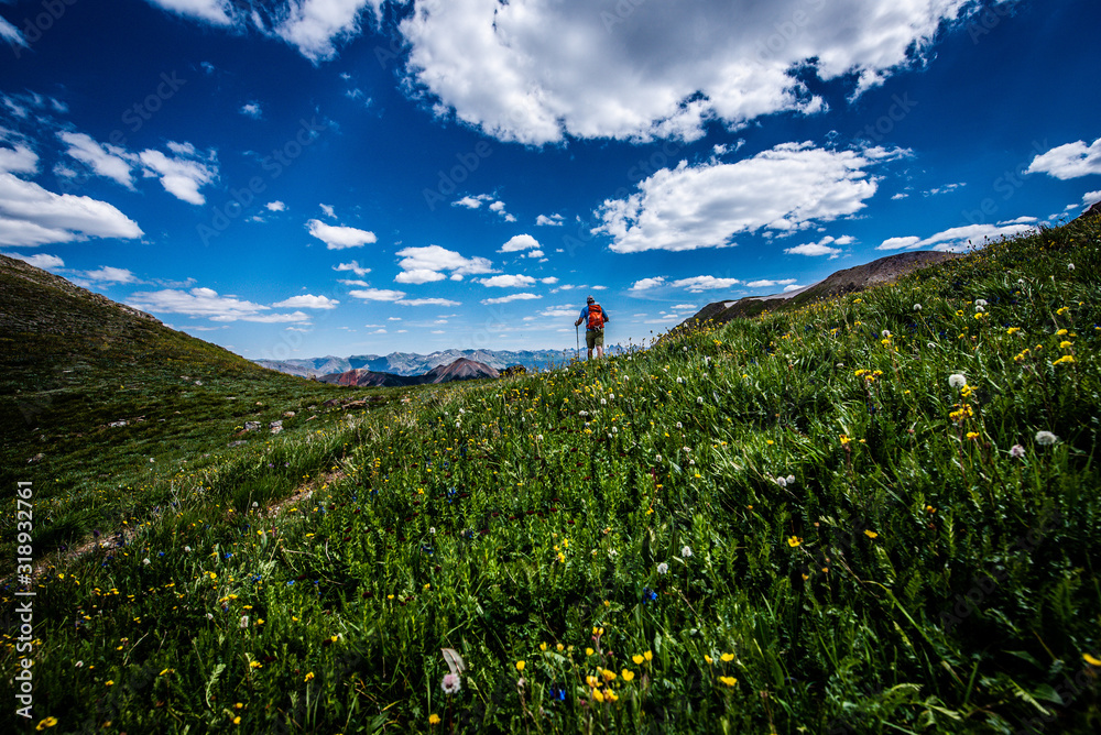 summer landscape with blue sky and clouds Stock Photo | Adobe Stock