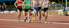 Group Male Runners Running Middle Distance Race