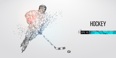 Wall Mural - Abstract silhouette of a hockey player from particles. Dots, lines, triangles text color effects and background on a separate layers. Low poly neon wire outline geometric polygonal vector illustration