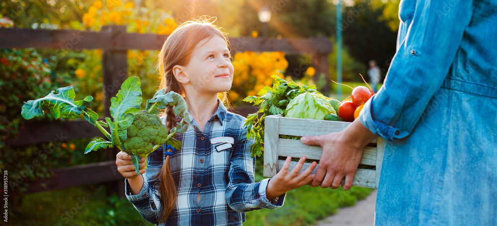 Children little girl holding mom a basket of fresh organic vegetables with the home garden. - obrazy, fototapety, plakaty 