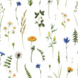 © zenina - Beautiful floral summer seamless pattern with watercolor hand drawn field wild flowers. Stock illustration.