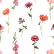 © zenina - Beautiful floral summer seamless pattern with watercolor hand drawn field wild flowers. Stock illustration.