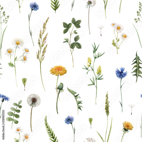 Beautiful floral summer seamless pattern with watercolor hand drawn field wil...