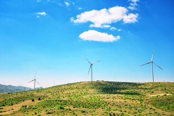 Wall Mural - wind generators on a plain under a blue sky