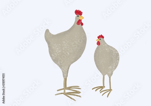 Poule Et Coq Aux Longues Pattes Plumage Gris Tachete Stock Illustration Adobe Stock Poule Et Coq Aux Longues Pattes Plumage Gris Tachete Stock Illustration Adobe Stock