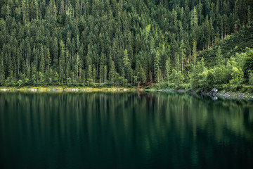 Wall Mural - Coniferous green pine forest reflections in crystal and calm deep water of the lake in Austria,Tyrol. Majestic nature landscape.