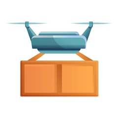 Poster - Package drone delivery icon. Cartoon of package drone delivery vector icon for web design isolated on white background