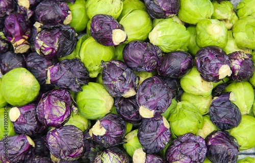 Full frame close up of pile green and purple raw fresh brussels sprouts (brassic Poster Mural XXL