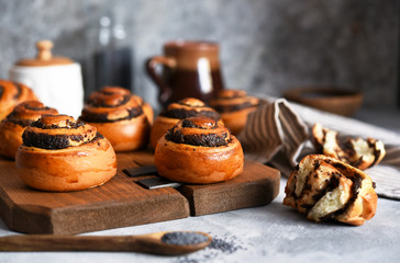 Bun with poppy seeds and milk on a concrete background