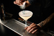 Close-up of bartender decorating cocktail with small branch