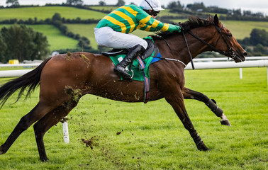 Wall Mural - Race horse and jockey galloping at speed on the race track