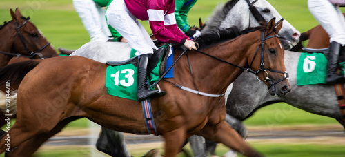 Fotografía Horse racing action, close up on galloping race horses, panning motion blur effe