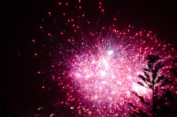 Fireworks at the beach on New Year's eve