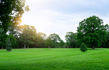 Fresh Air And Beautiful Natural Landscape Of Meadow With Green Tree  In The Sunny Day For Summer Background, Beautiful Lanscape Of Grass Field With Forest Trees And Enviroment Public Park With Sun Ray