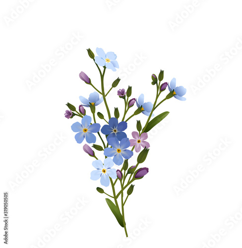 Vergissmeinnicht Blumen Gruppe Vektor Illustration Isoliert Auf Weissem Hintergrund Buy This Stock Vector And Explore Similar Vectors At Adobe Stock Adobe Stock