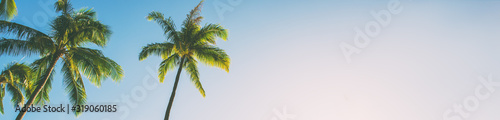 Fotografía Summer beach background palm trees against blue sky banner panorama, tropical Caribbean travel destination