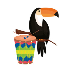 Poster - drum with toucan isolated icon