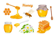 Honey Set. Honeycombs, Bee, Honey In Glass  Jar, Wooden Honey Dipper, Honey In Metal Spoon And Flowers Isolated On White Background. Vector Illustration Of Organic Natural Sweets In Cartoon Flat Style