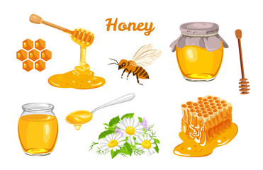 honey set. honeycombs, bee, honey in glass jar, wooden honey dipper, honey in metal spoon and flower