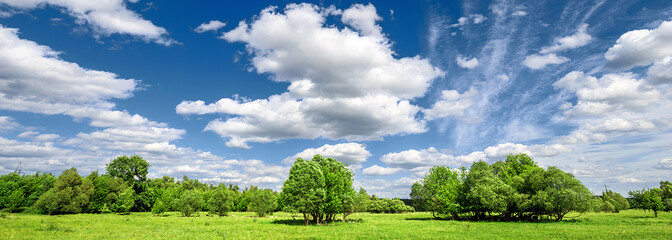 Rural summer landscape. Sunny blue sky with clouds over forest and fresh green meadow. Panoramic banner.