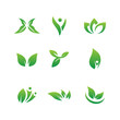 Leaf set logo