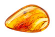 polished Amber gemstone with inclusions isolated