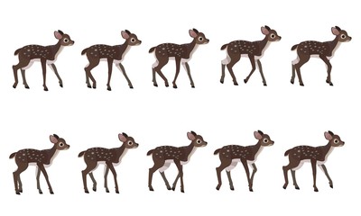 Wall Mural - spotted deer's walking cycle for animation. steps of deer cub.
