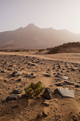 beach landscape - cofete, fuerteventura, canary islands. perfect place for the coast lovers. tourist