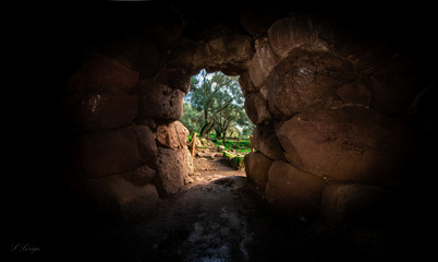 Wall Mural - bosco, alberi, nuraghe, santa cristina