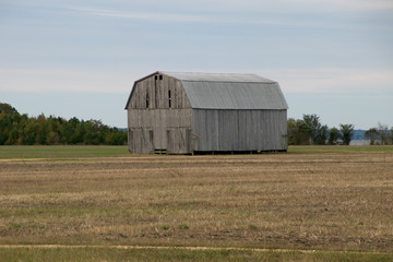 Wall Mural - old tobacco barn