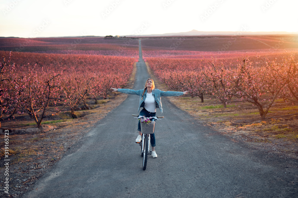 Pretty young woman with a vintage bike enjoying the time in cherry field in springtime. - obrazy, fototapety, plakaty 