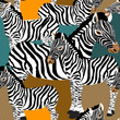 Zebra's seamless pattern. Vector illustration of zebras on orange and blue background