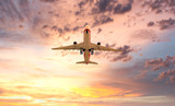 Fototapeta Storczyk - A plane flying in sunset