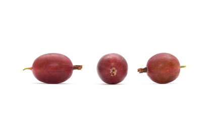 Poster - Gooseberries. Fresh gooseberries isolated with clipping path