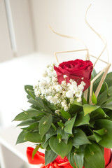 A close-up view of a red beautiful rose in green leaf decoration. Behind is a white background.