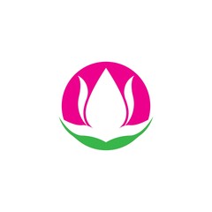 Wall Mural - Vector illustration icon of beautiful tulips with white background