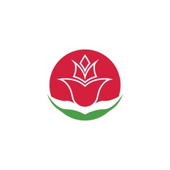 Wall Mural - Vector illustration icon of beautiful tulips with white background