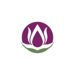 Wall Mural - Vector illustration icon of beautiful tulips with white background