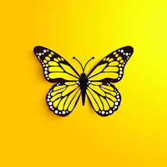 beautiful yellow butterfly on the background